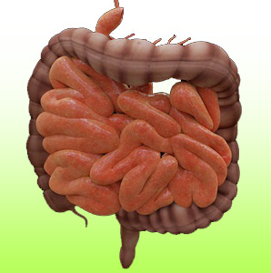 SIBO & COLON IRRITABILE